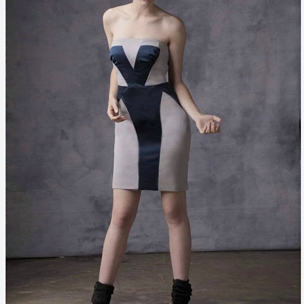 Chloe DAO Lenox Mini Tube Dress Taupe Gray & Black Sleeveless 2